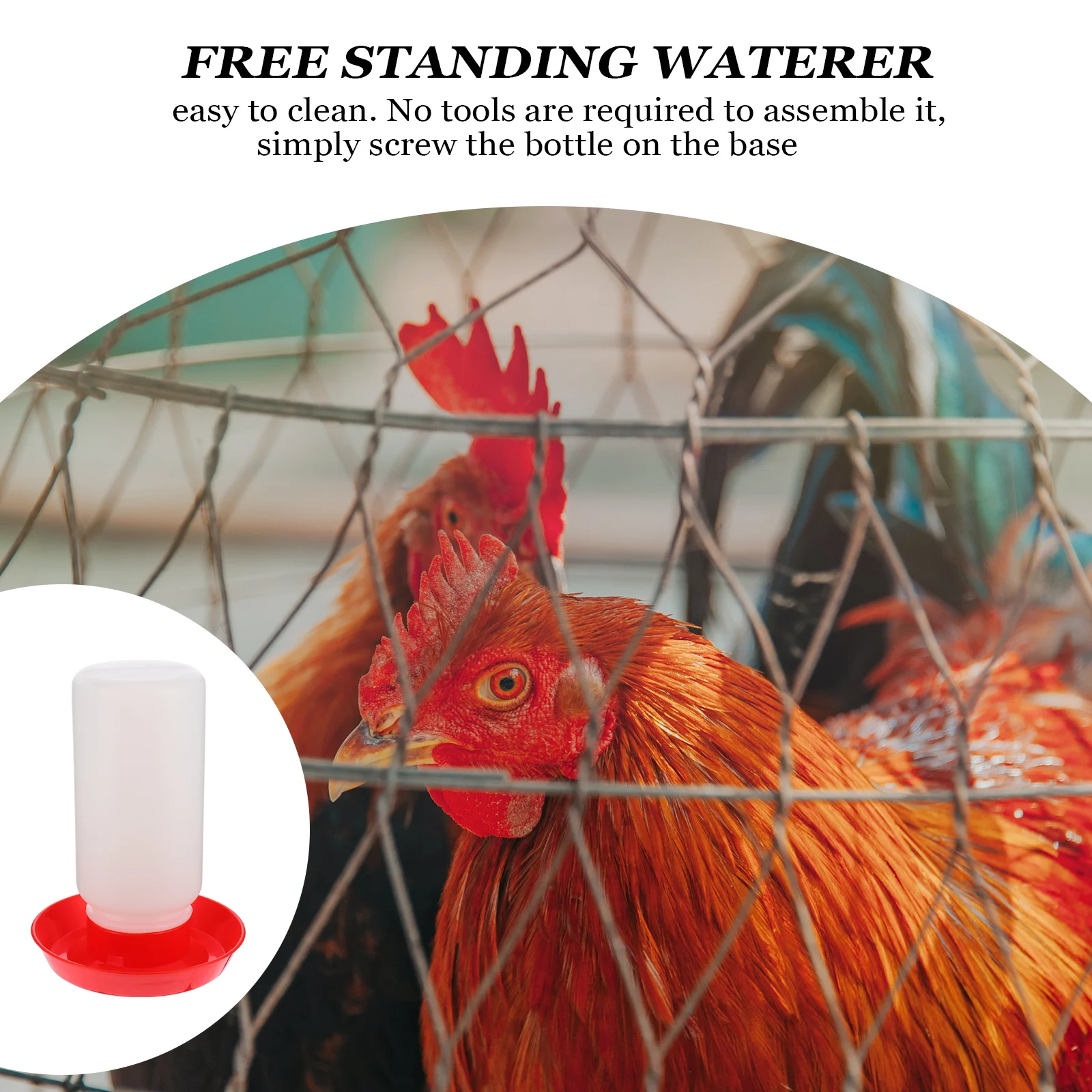 

Automatic Poultry Waterer Durable Smooth Surface Fall Resistant Chicken Bird Quail Drinker Easy Clean Translucent Container Pet