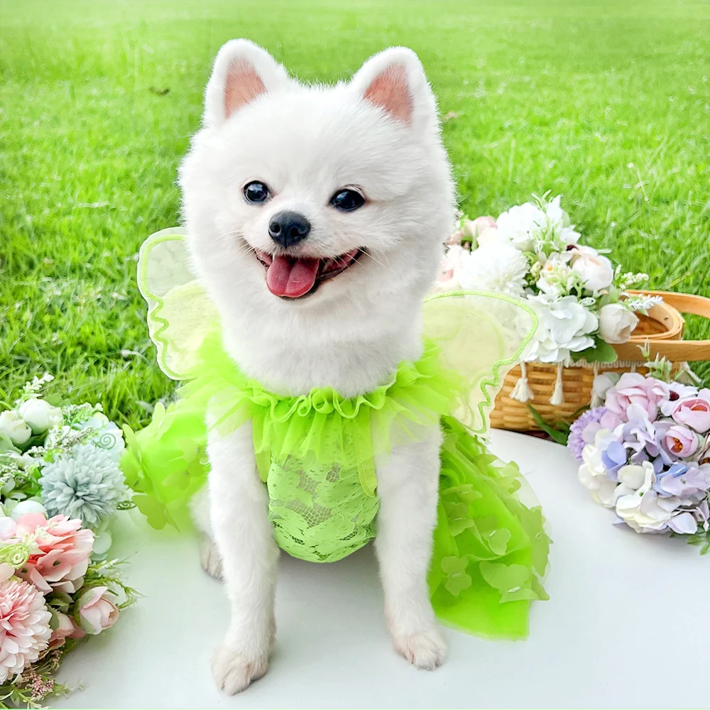 Pet Butterfly Princess Dress For Puppy Kitten Pet Costume Birthday Party Evening Dresses Summer Butterfly Cat Dog Clothes image 4