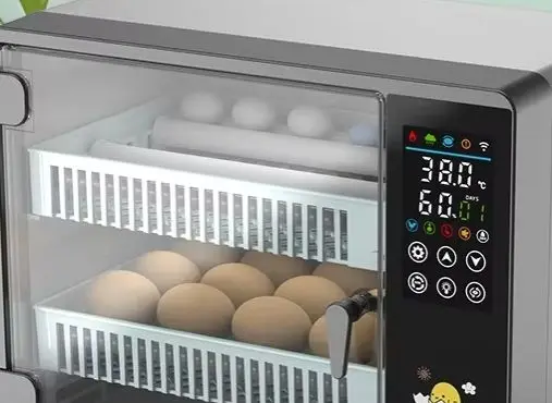 50-Egg Digital Automatic Poultry Incubator with Temp Control, Auto Turner Hatching Machine for Chicken and Bird Eggs