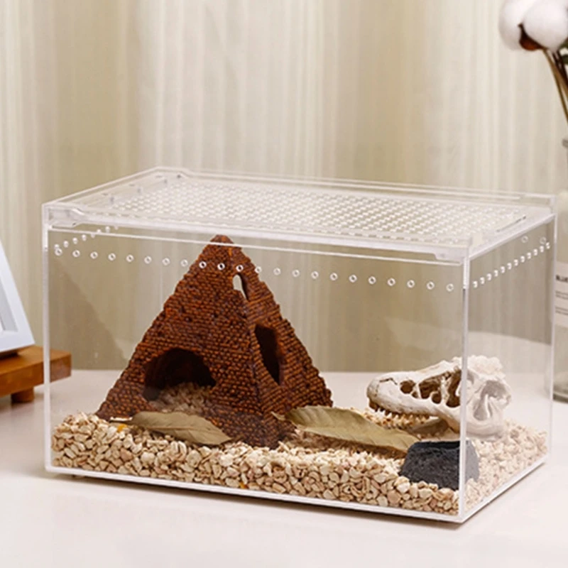 Terrarium Large Feeding Habitat Box for Small Animals Insect Home Office