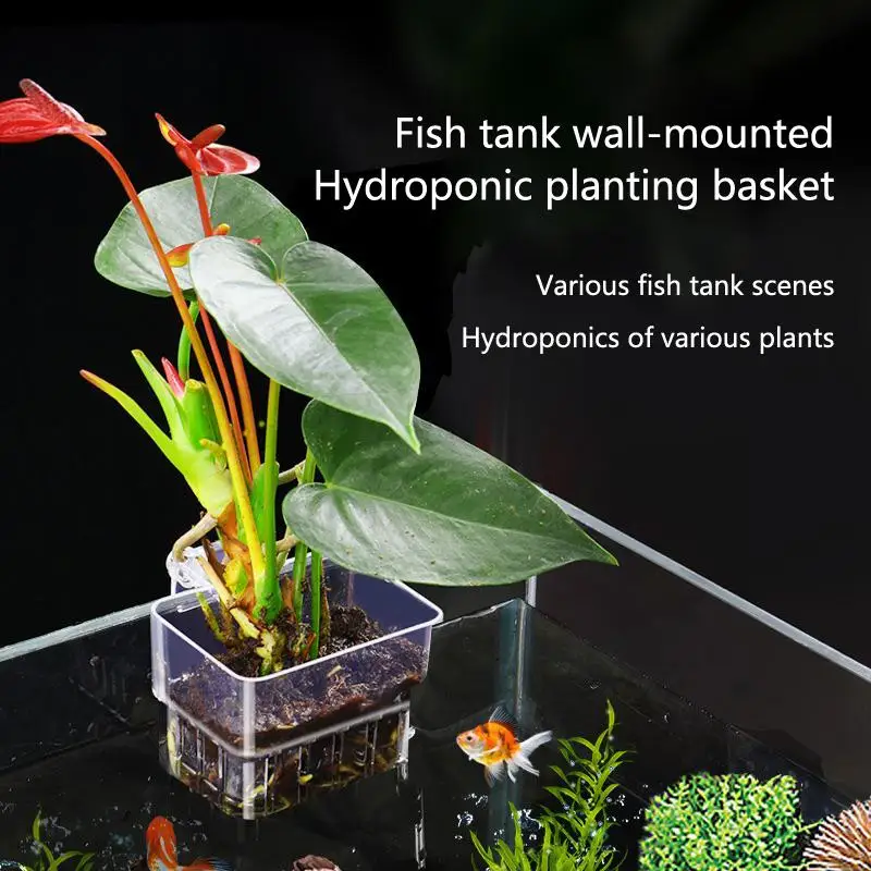 Aquarium Hydroponic Planting Cup 2 5 10Pcs for Aquatic Plant Cultivation Durable Basket for Fish Tank Setup