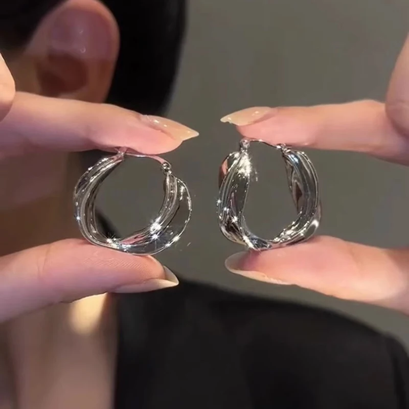 

Simple high-end light luxury metal cold wind circle earrings