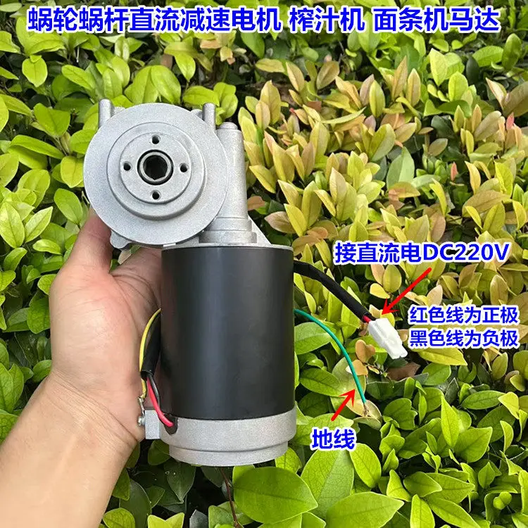 220V rectifier turbine worm DC deceleration motor large torque permanent magnet DC motor forward and reverse