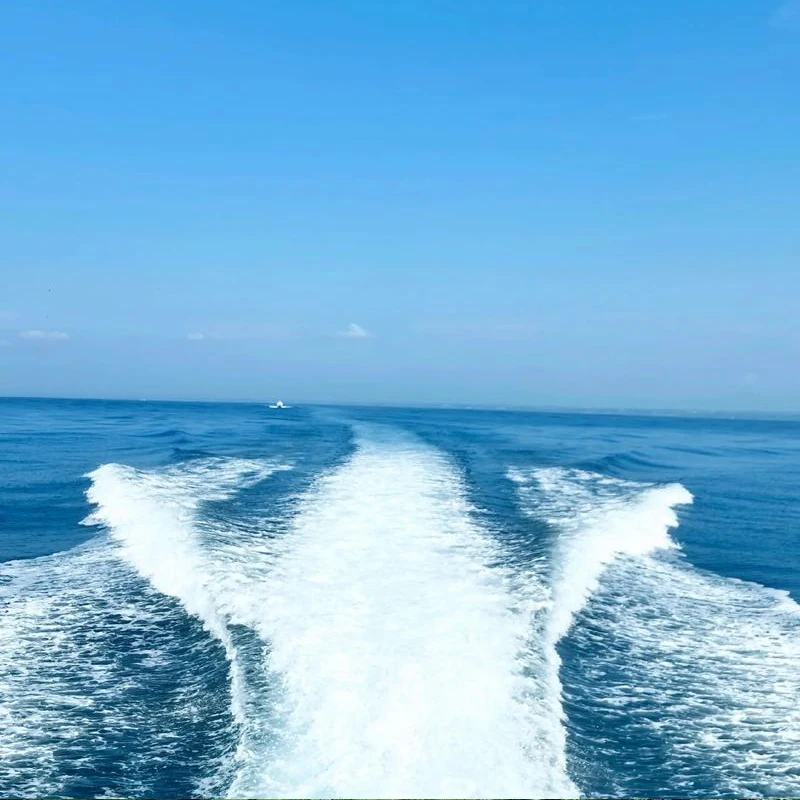 

Mini Money Counter Portable Rechargeable US Dollar and Euro Counterfeit Bill Validator Automatic Money Detection