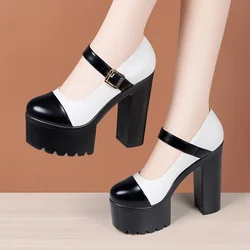 14cm Small Plus Size 34-43 Mix Color Mary Janes Women's Chunky Platform Pumps 2024 Spring Block High Heels Shoes Model Party