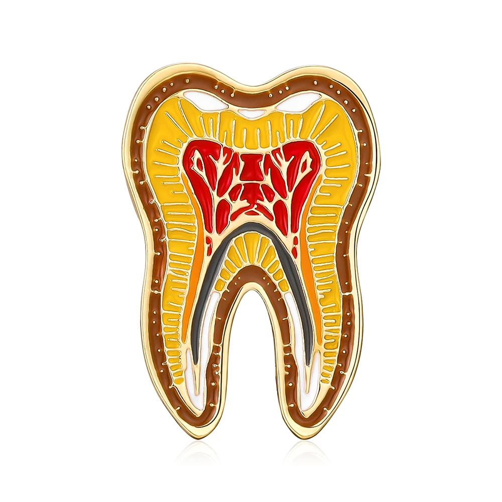 

Tooth Pins Enamel Brooch Medicine Dentistry Doctor Fashion Jewelry Lapel Coat Bag Badge Collectible Gift for Dentist Friends