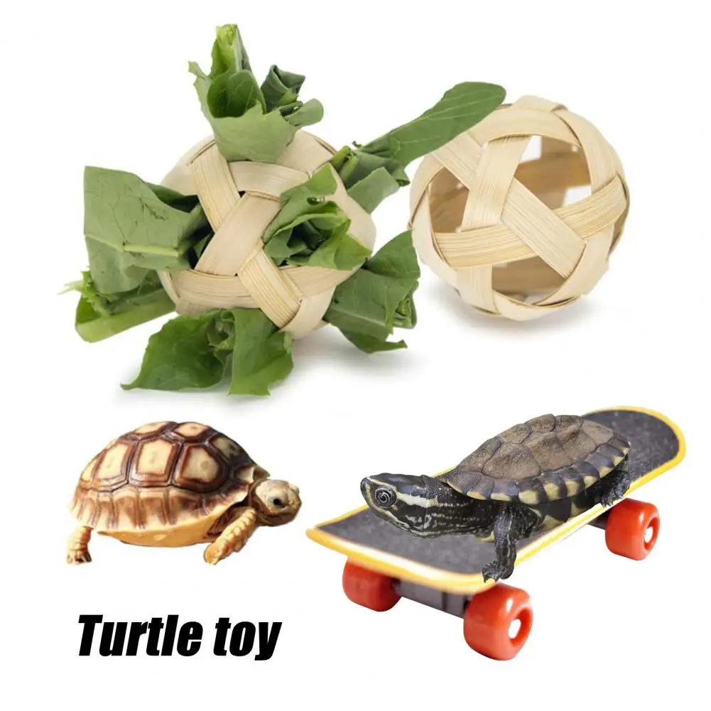 Pet Skateboard for Turtles Turtle Treat Ball Set for Small Fruit Vegetable Feeding Toy with Mini for Enrichment