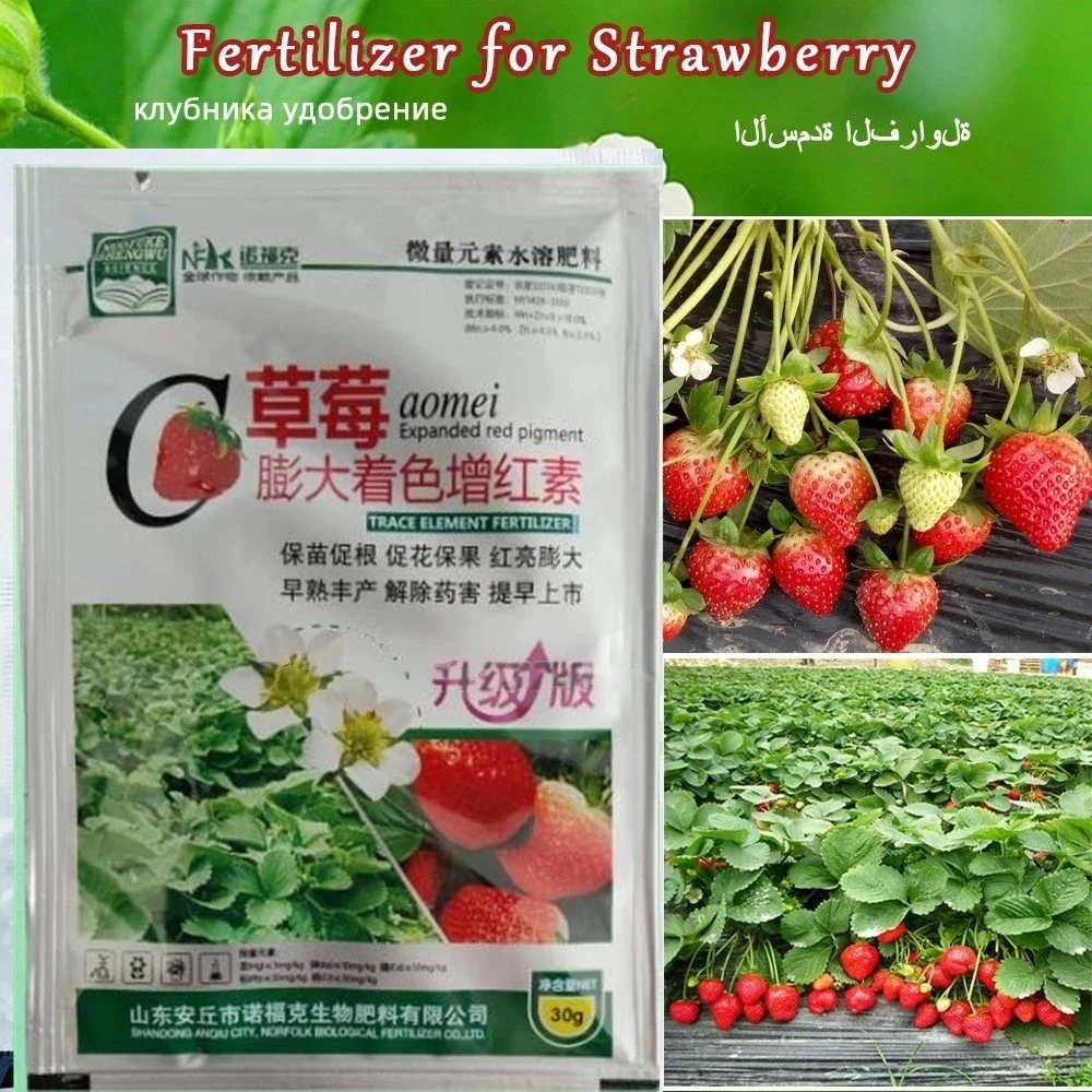 Fertilizante especial de fresa, 30g, nutrición suplementaria de plantas, hidroponía, fruta expandida, enraizamiento rápido para bonsái de jardín doméstico