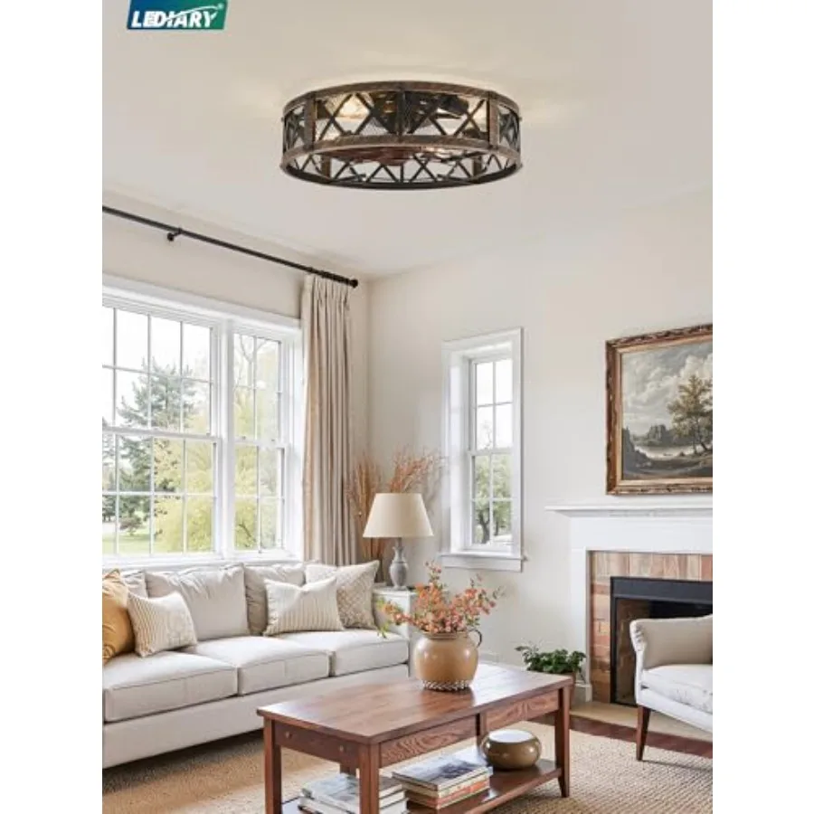 Caged Ceilg Fan With Light, APPandRemote Control, Small Flush Mount Farmhouse Fan Lights, Low Profile Rustic Bladeless Ceilg Fa