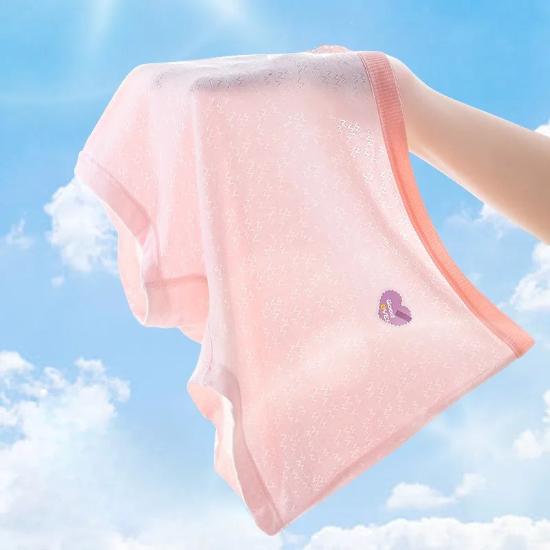 

Kids Soft Comfort Antibacterial Knickers Cute Print Underwear 3+y Young Child Clothing Summer Girls Mesh Breathable Panties 4PCS