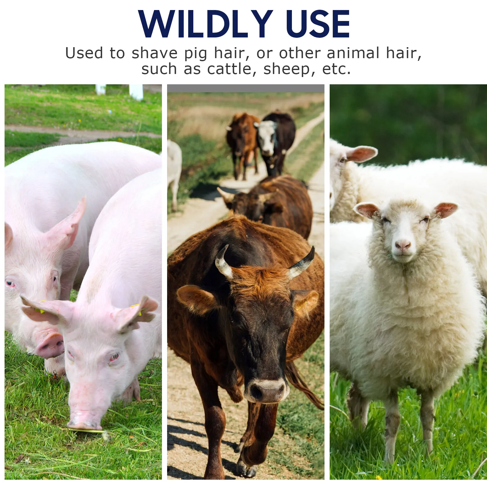 

2Pcs Manganese Steel Pig Hair Scraper Professional Hair Remover Tool for Pig Cattle Sheep Cleaning Use