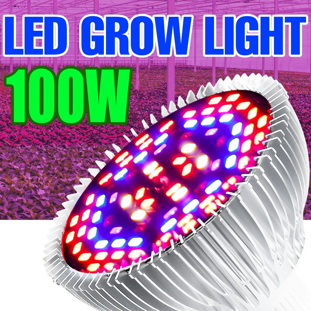 

LED Lamp For Plants E27 Phyto Lamp Full Spectrum LED E14 Grow Light 18W 28W 30W 50W 80W 100W Greenhouse Seeds of Indoor Flowers