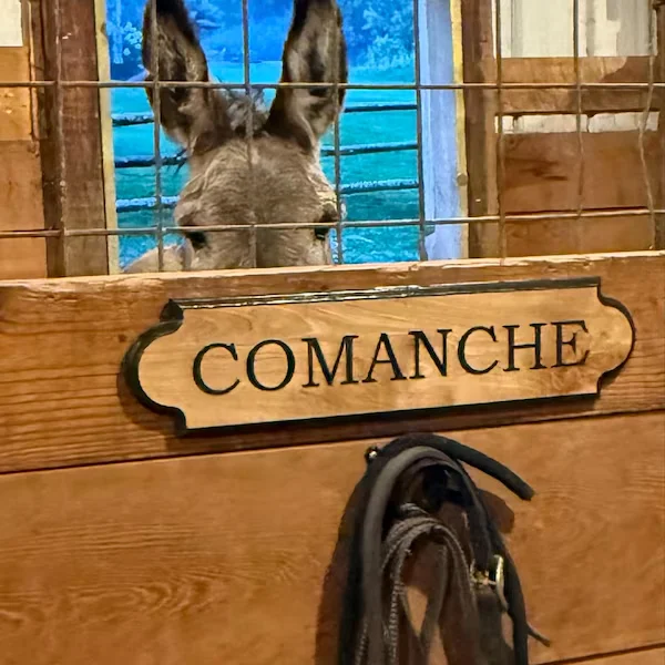 1Pc Custom Rural style Horse Stall Wooden Name Plaque,Home Equestrian Tack Room Barn Wall Door Decor,Birthday Wedding Gift image 3