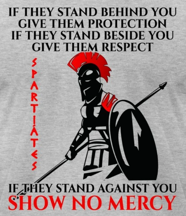 Protector Respect Grace Greek Spartiates Warrior T-Shirt New 100% Cotton O-Neck Short Sleeve Summer Casual Mens T-shirt