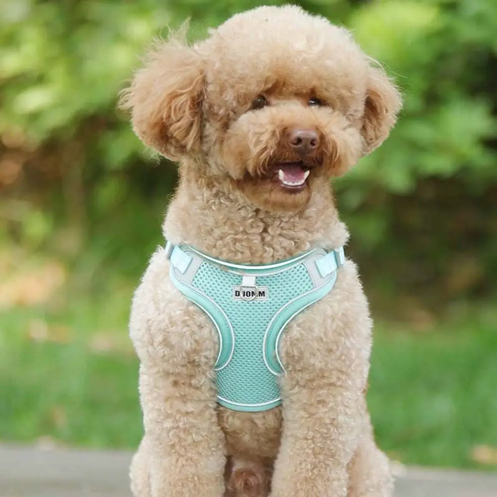 Dog Chest Braces For Small Medium And Large Dogs Safety Pet Harnesses Leash Pet Supplies Dog Harness Vest Pet Chest Strap