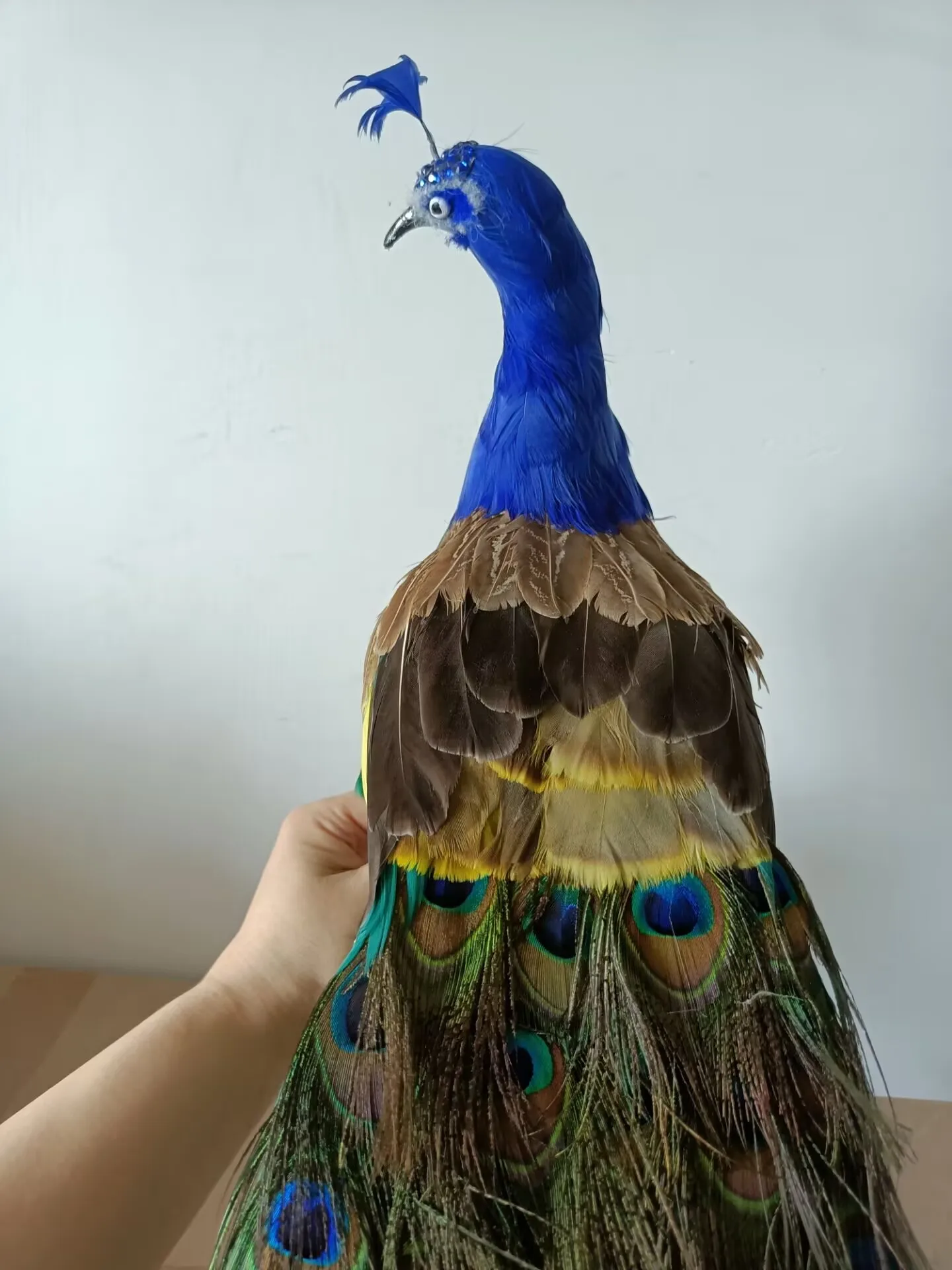 simulation colorful peacock model foam&feather peacock bird gift about 50cm d0585