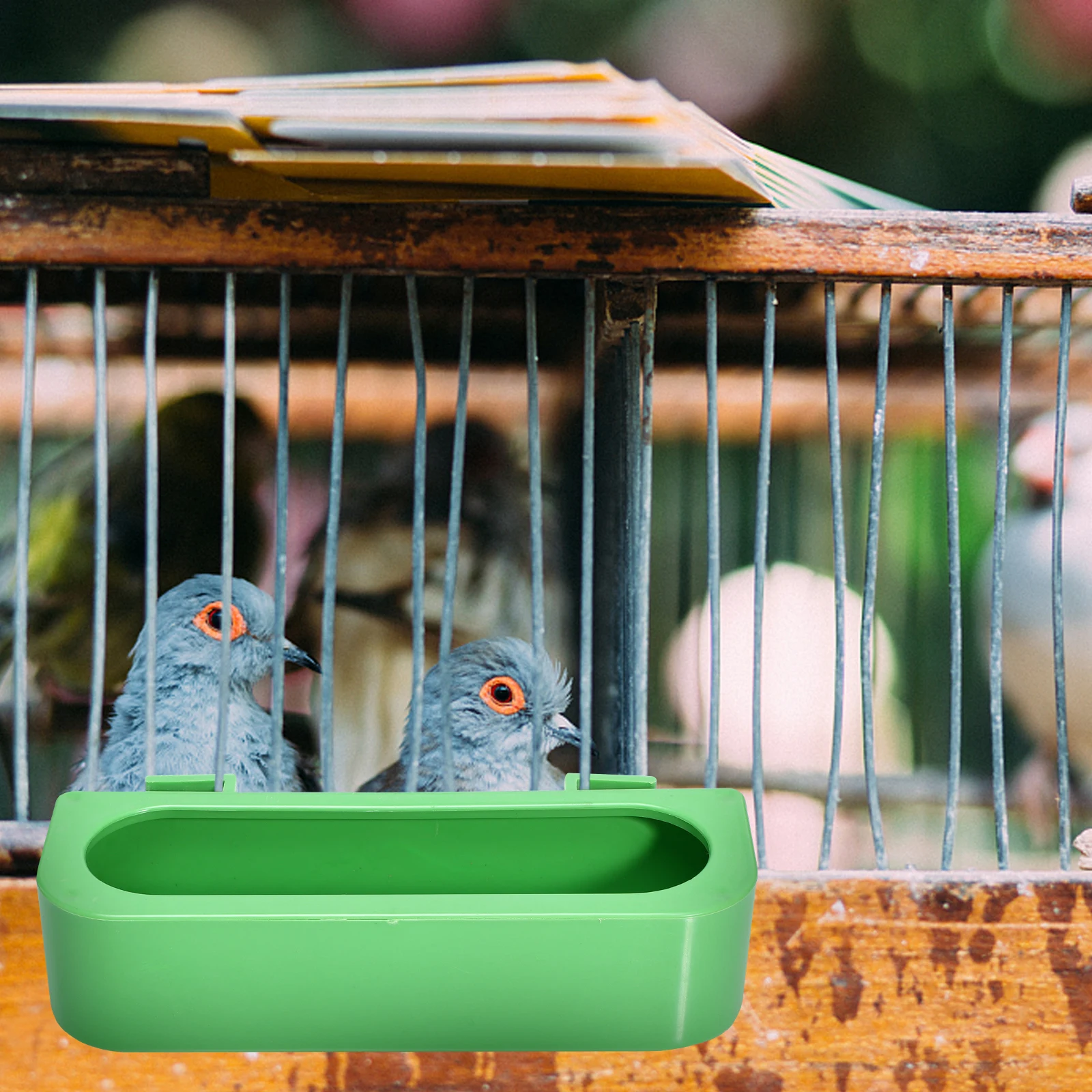 

4pcs Plastic Bird Feeder Durable Easy to Clean Refill Long Term Use Pigeon Trough Food Container Pet Supplies