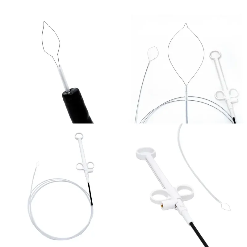 Clean Resection Complete Removal-The Disposable Snare That Finishes the Job