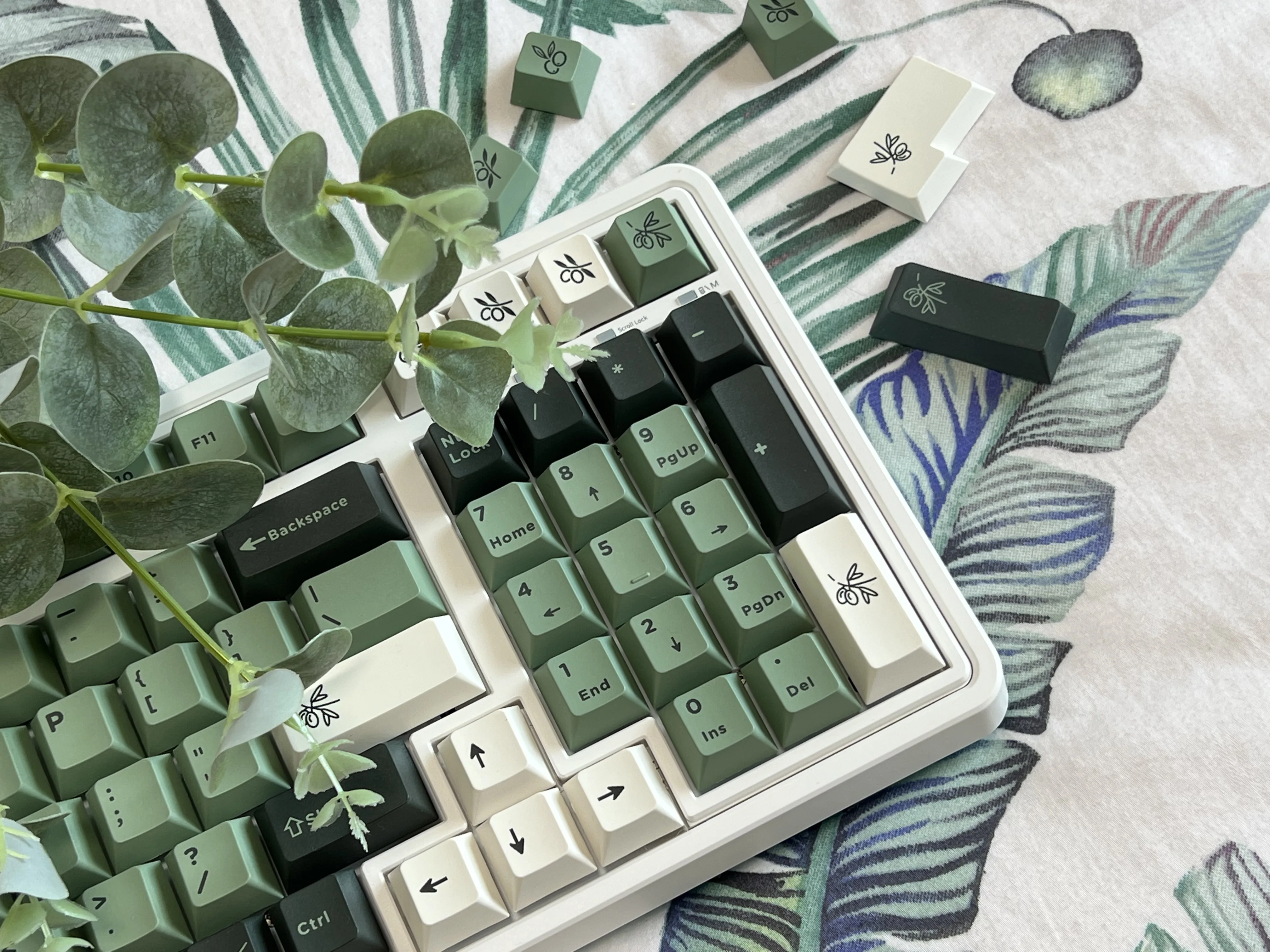 170 keys/set olivovník klíčenka PBT sublimace originální továrna výškou personalizované pro mechanická klávesnice mx kláves 64/84/87/98/104