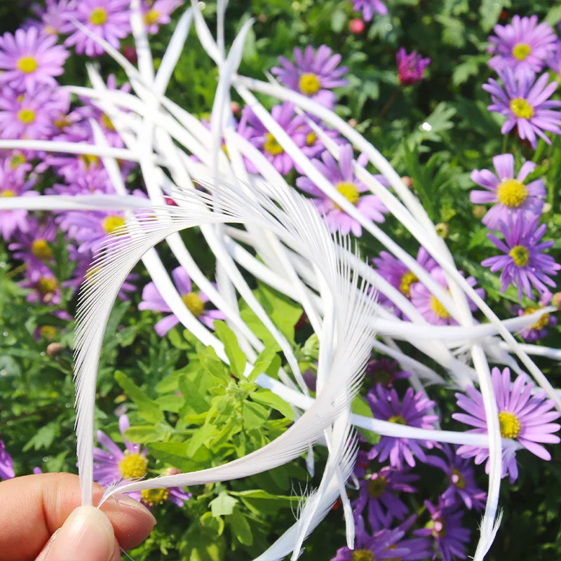 5-7inch Real Goose Biot Feathers Fly Tying Material Plumage Decoration Jewelry Accessories Decoration Filament Plume Wholesale