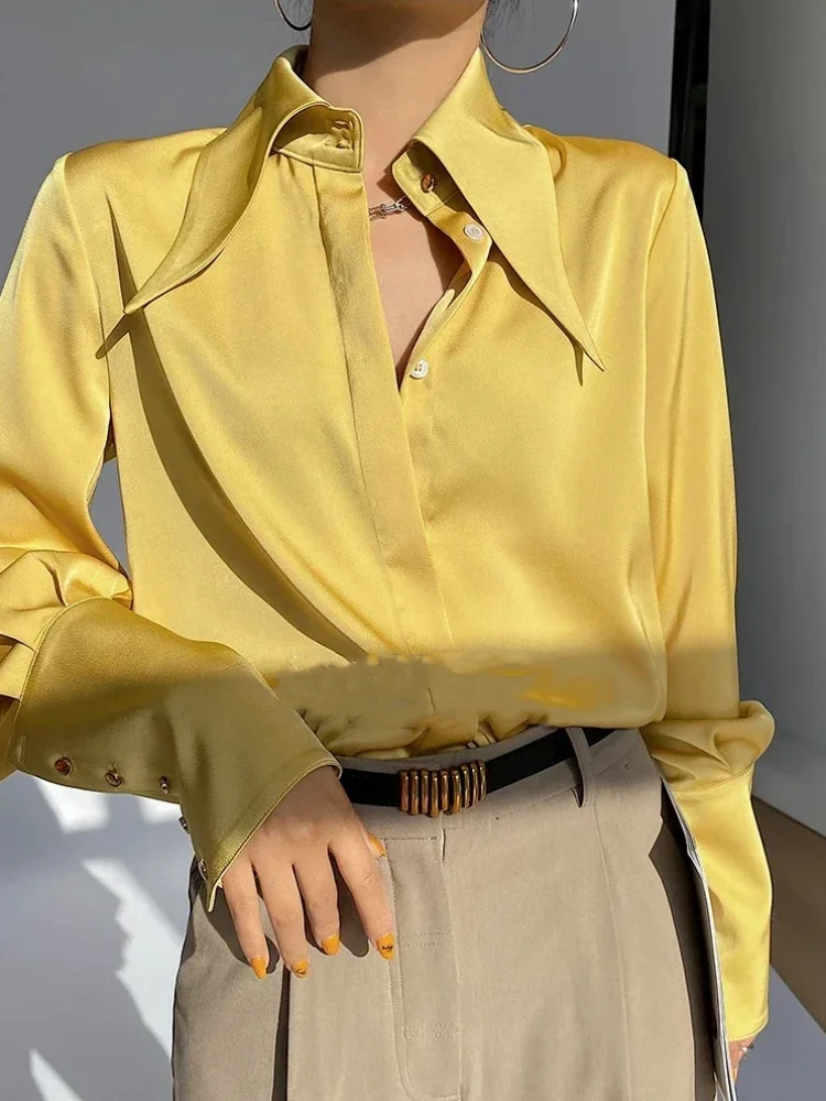 Vintage Turn Down Collar Satin Women Shirts Office Ladies Elegant Long Sleeve Blouse Lantern Sleeve Tops