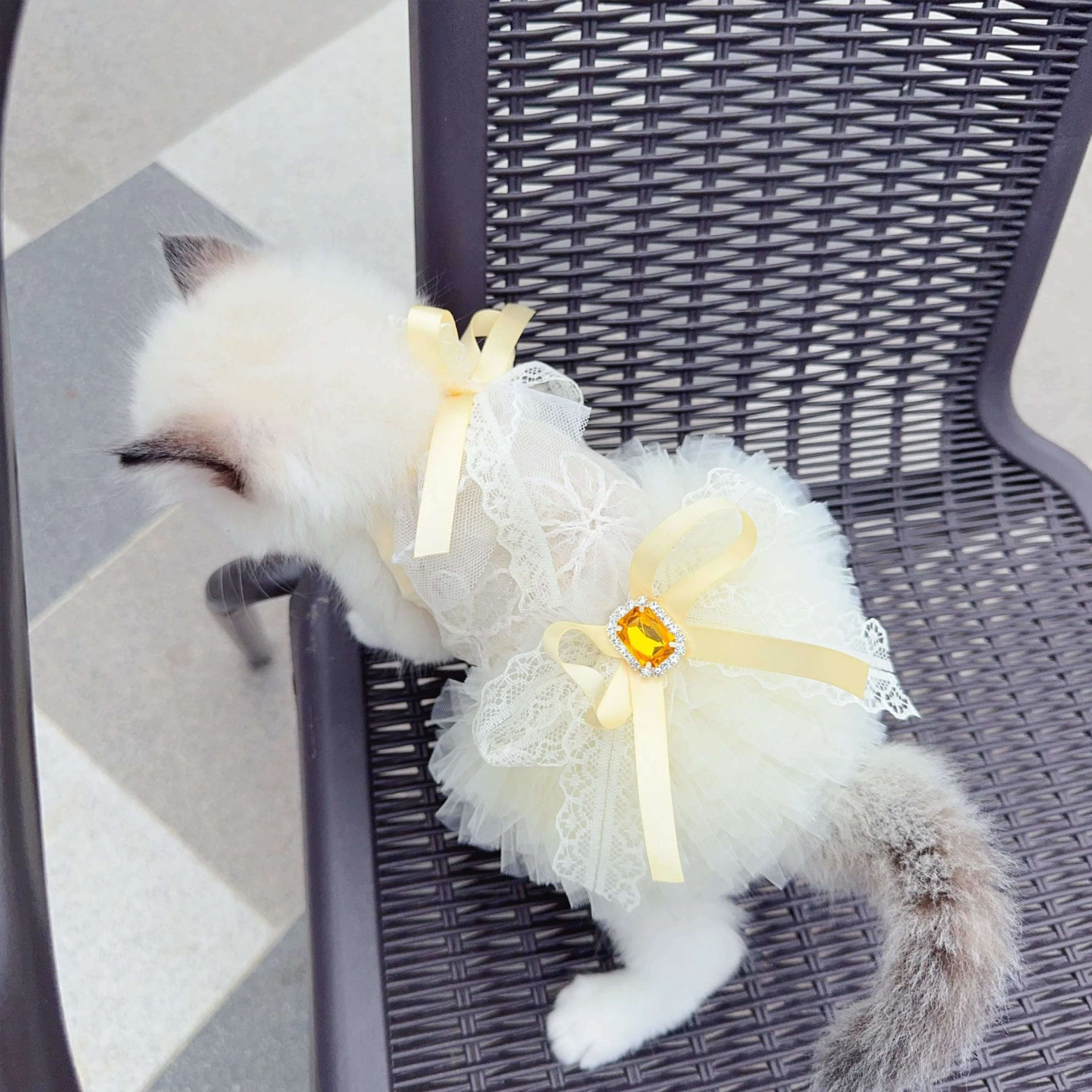 

Summer Hollow Lace Pet Dress Black White - Sleeveless Bridal Photography Gown for Cat Dog Puppy Wedding Home Costume