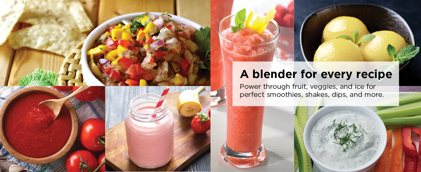 A blender for every recipe