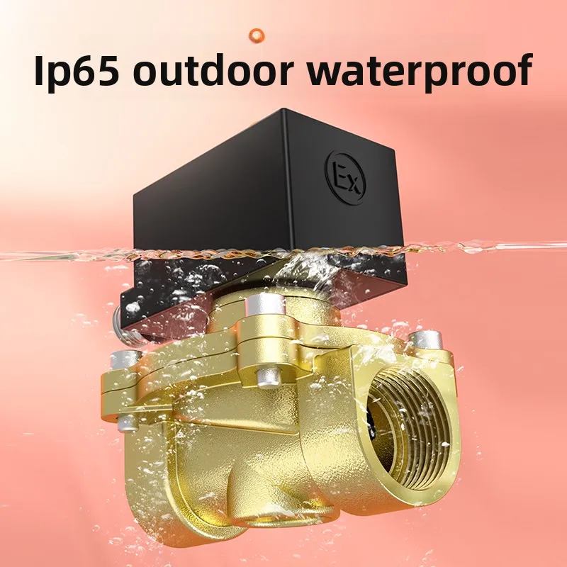 Explosion-proof Solenoid Valve Natural Gas Mine Water Valve Air Valve Control Pipeline Normally Closed Dn15 25 5012v220v24v