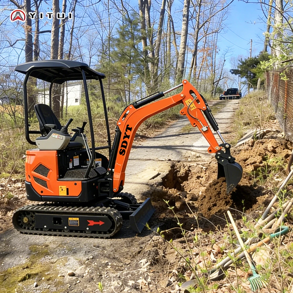 New Customized Mini Excavator  - Engine Hoist Crane 评论和价格