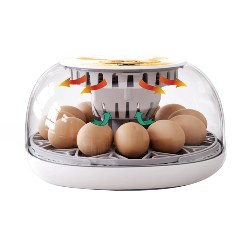 Egg Incubator 12 Eggs Incubator With Auto Egg-Turning, Auto Water Refill, For Hatching Chicken Pigeon EU Plug