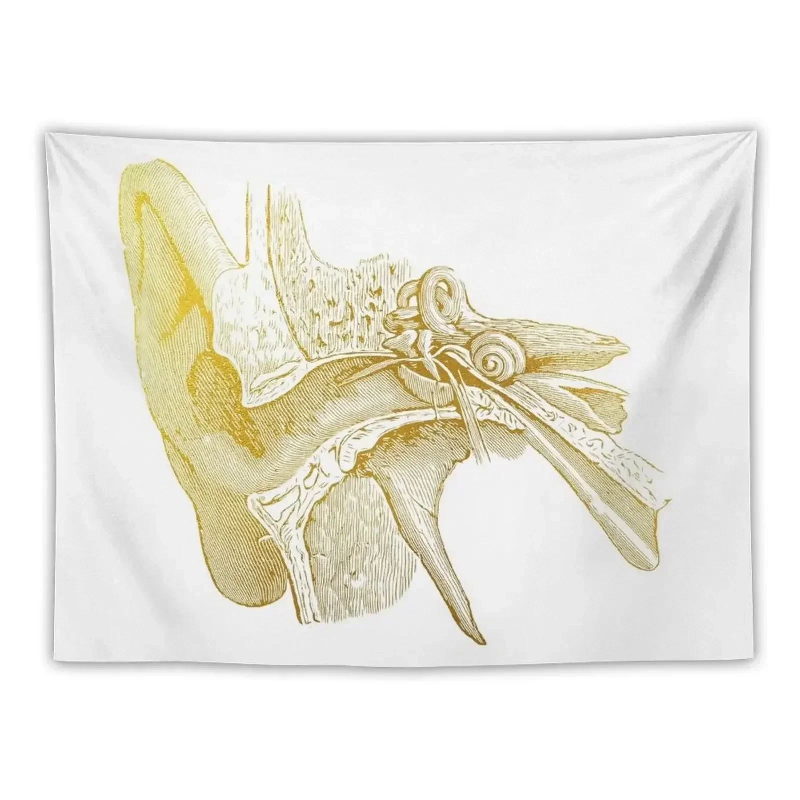 

Human ear Tapestry Room Decorating Aesthetic Aesthetic Decoration Tapestry