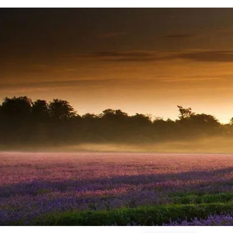 

BCUBE 3.5inch Carbon Fiber FPV Frame, Lightweight & Durable Freestyle Racing Drone Kit for INAV Betaflight Ardupilot PX4