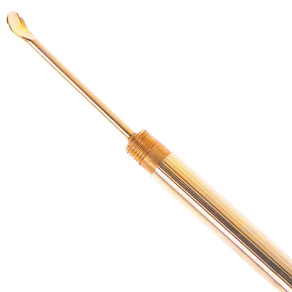 Portatile 1PC Detergente per cerume Strumento per la pulizia dell'orecchio Tipo pieghevole Cucchiaio per l'orecchio Curette Strumenti per scavo dell'orecchio Strumenti per la rimozione del cerume