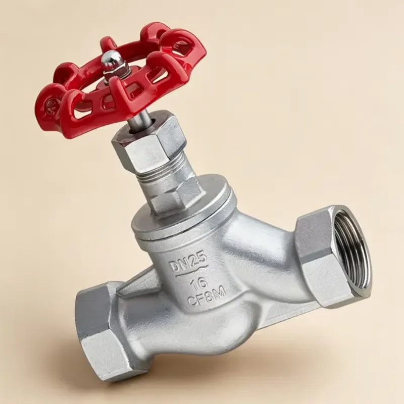 Resistant DN25 PN16 CF8m Stainless Steel S Pattern Y Type Manual Water High Flange Connection ANSI Globe Valve