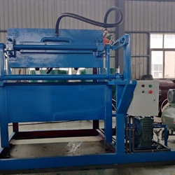 High Efficiency Easy to Install and Maintain Egg Tray Machine Cheapest Widely Used In the World Waste Paper Recycle Used