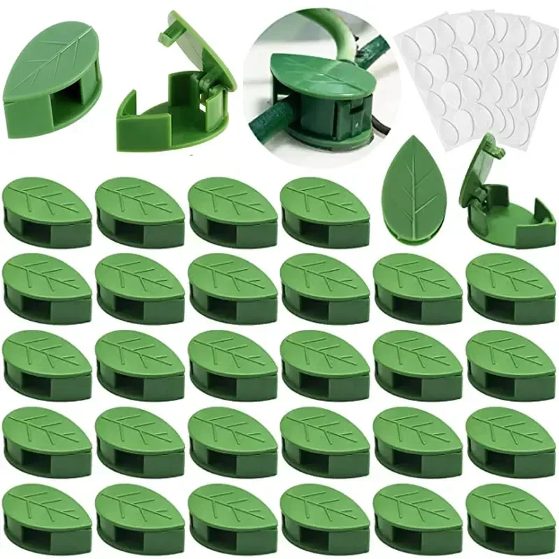 

20-40Pcs Invisible Plant Climbing Wall Fixture Rattan Vine Bracket Fixed Buckle Leaf Clips Traction Holder Garden Plant Support