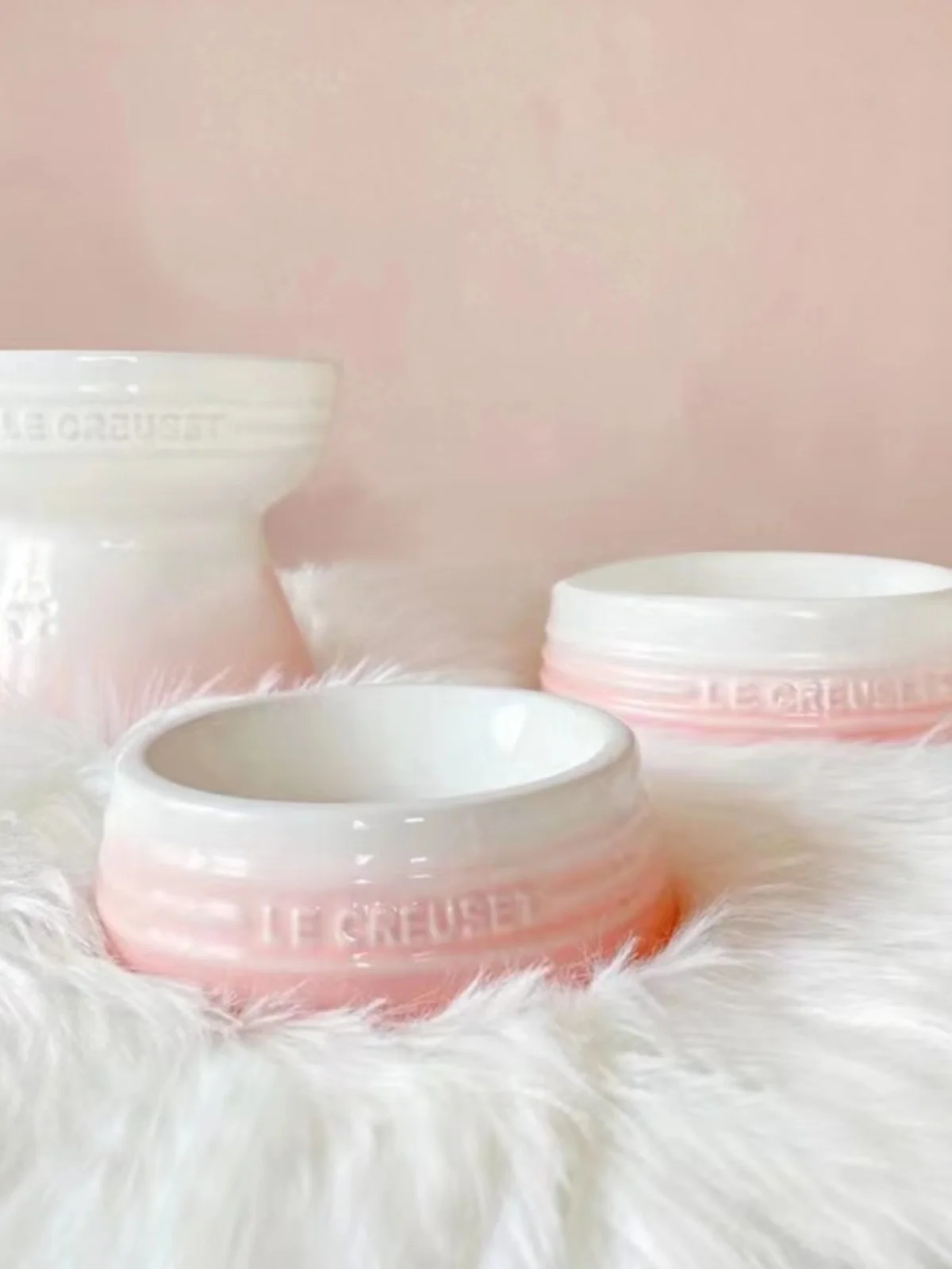 Comedero de Cerámica LE CREUSET de Color Fresco, Comedero Elevado para Perros, Plato para Gatos, Plato Antideslizante para Ag...