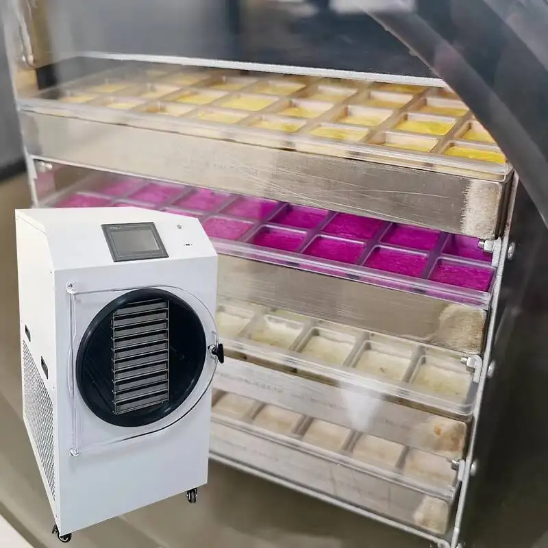 12-14KG/Batch 10Trays HFD-9 Milk Powder Fruit And Vegetable Freeze Dryer Machine Professional