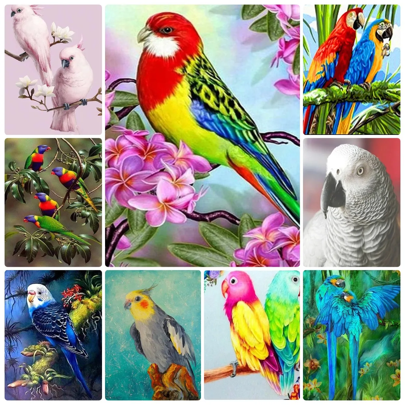 

Jigsaw Puzzles for Adults - Animal Parrot - Jigsaw Puzzle Home Decor Adults Puzzle Games Family Fun Puzzles Educational Gift