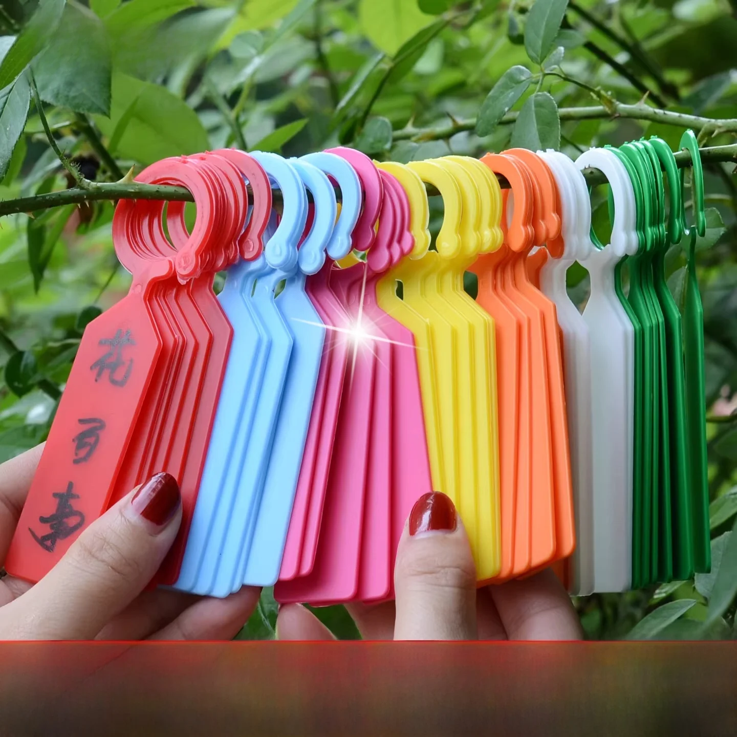 thickened-plastic-gardening-tags-plant-identification-cards-waterproof-ring-hooks-succulent-labeling-tools-small-hanging-tags
