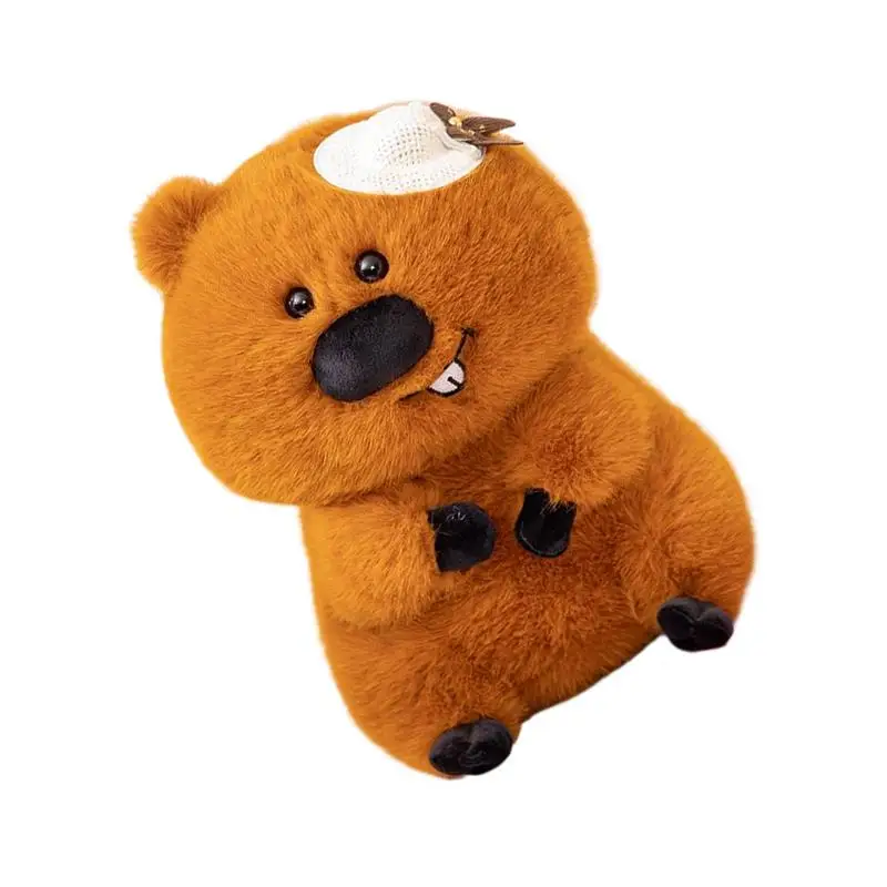 

Мягкие плюшевые подушки, изысканные мягкие и удобные мягкие игрушки-подушки для семьи, друзей, коллег, дня рождения