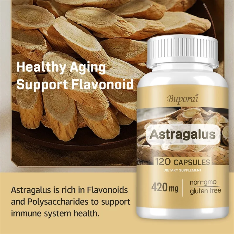 Astragalus Root Capsules - Heart and Liver Health, Immune System Support