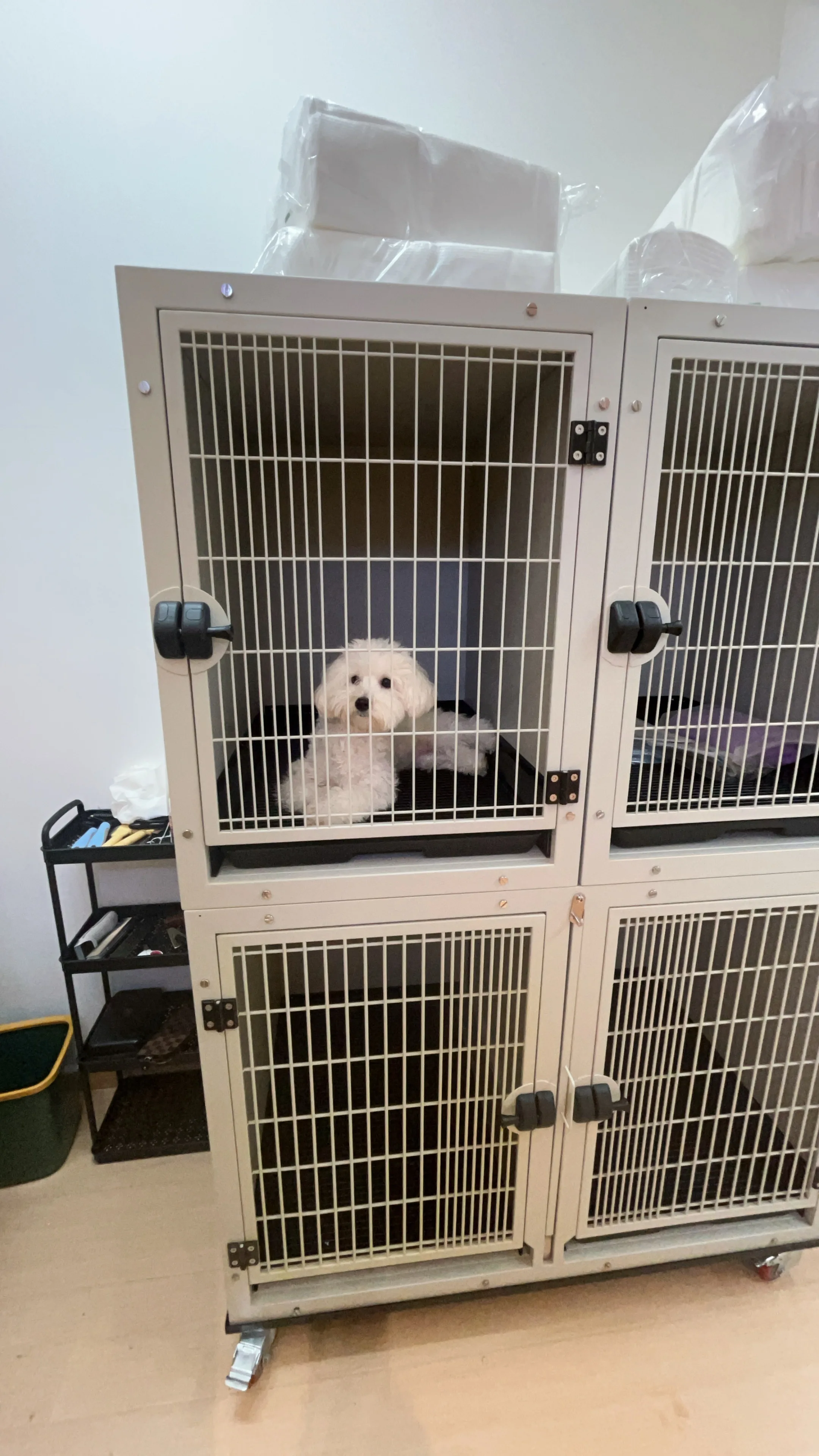 Metal Dog Cages Ful…