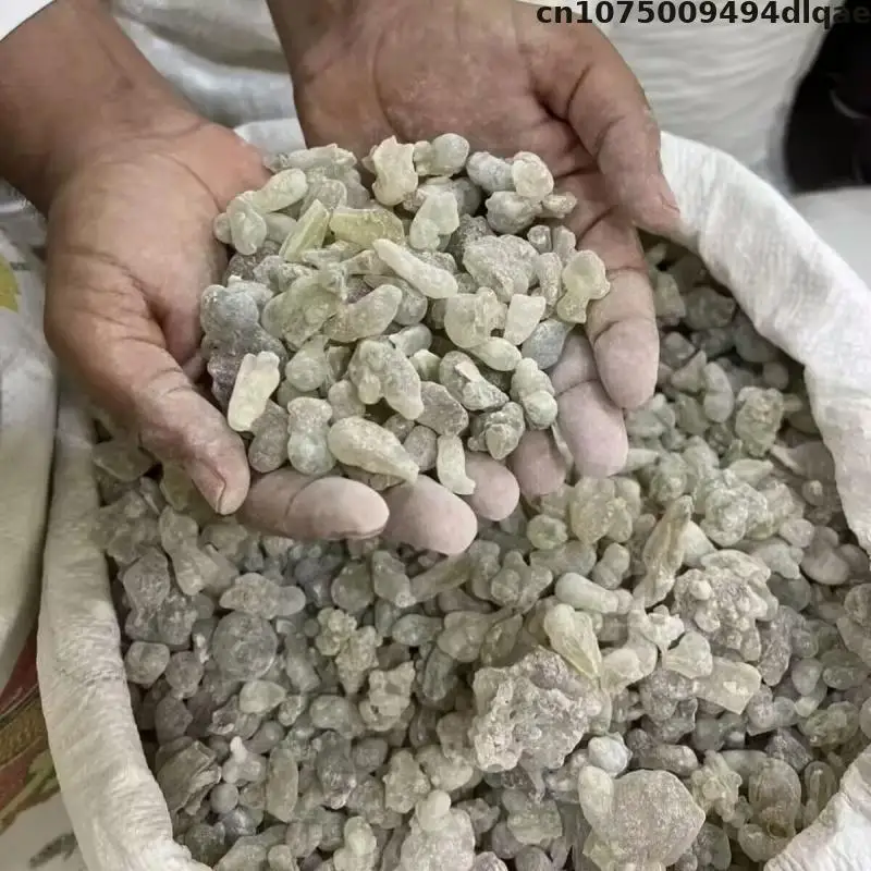 Oman Hojari Frankincense Oily Resin Incense Gum for Burning Home Fragrance and Meditation Use