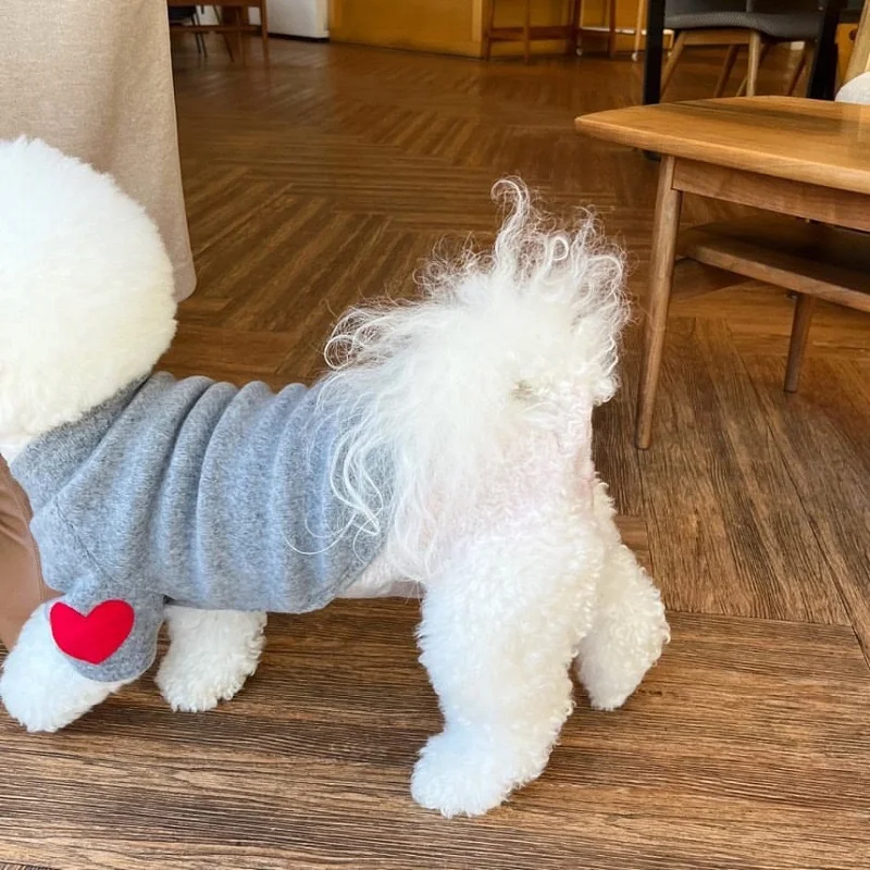 Hund Hoodies für kleine Hunde Herbst Winter Haustier Hund Mantel Chihuahua Bichon Französisch Bulldogge Kätzchen Welpen Sweatshirt Hund warme Kleidung – Detail 13