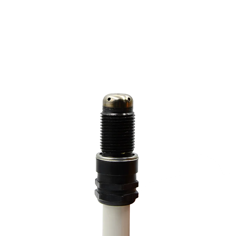 Hot Sale 560 ENGINE 76.64.375 / 76.64.416 1999012 2848313 1442588 Spark Plug