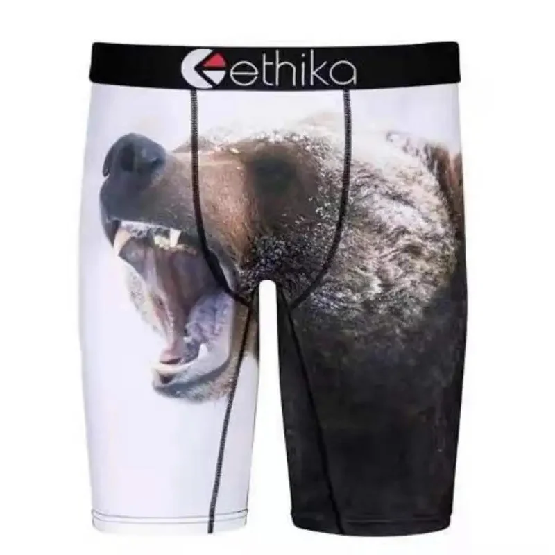 ETHIKA Brand Men's Underwear Boxers Sexy Fashion Print Man Underpants Boxer Men Innerwear Trunks Boxer Briefs Shorts Plus Size images - 6