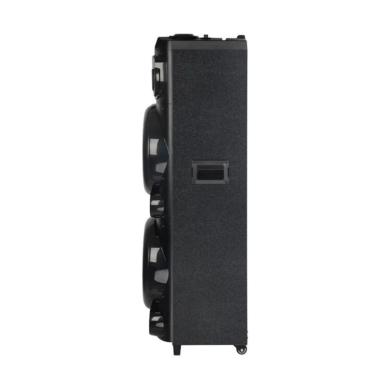 Bluetooth Speaker Dual 12-inch Speaker Wireless Microphone Portable Square Dance Card Audio RGB Lantern