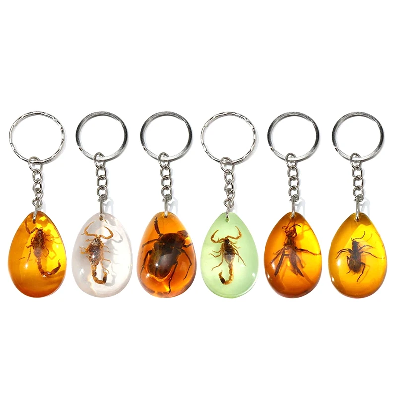 Random Style 1PC Amber Key Chain Insect Specimen Chain Pendant Scorpion Scarab Seven Star Ladybug Wasp Butterfly Car Key Ring