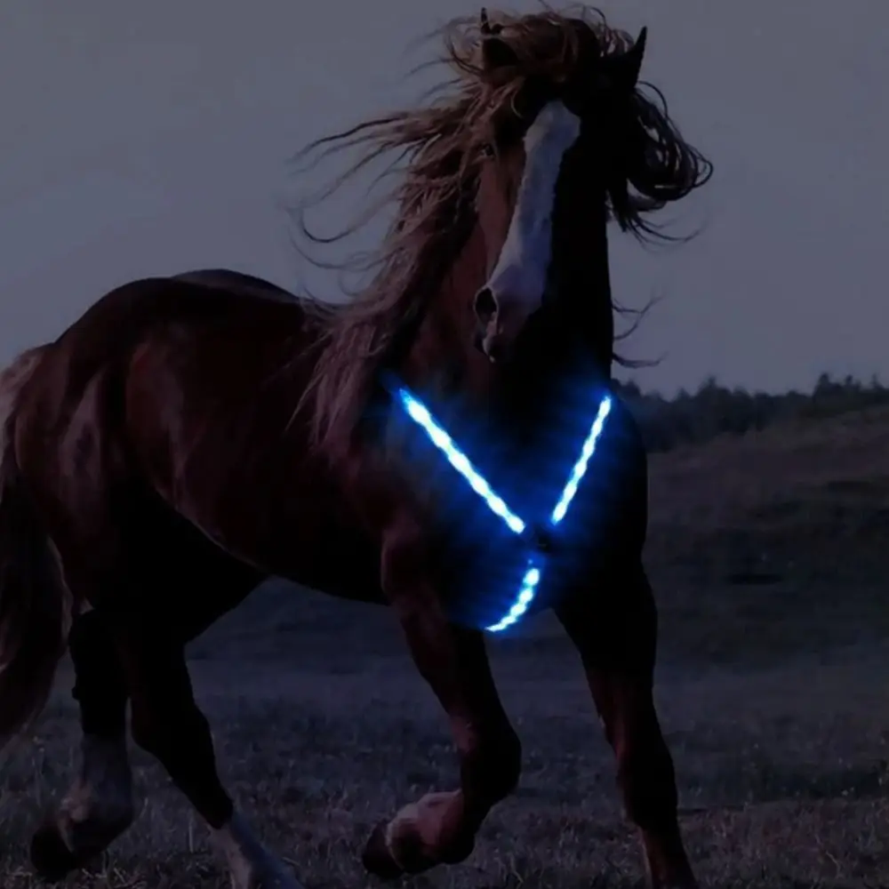 Night Visible Chargeable LED Horse Harness, Decoração Piscando, Peitoral Collar Horse, Arnês LED Seguro